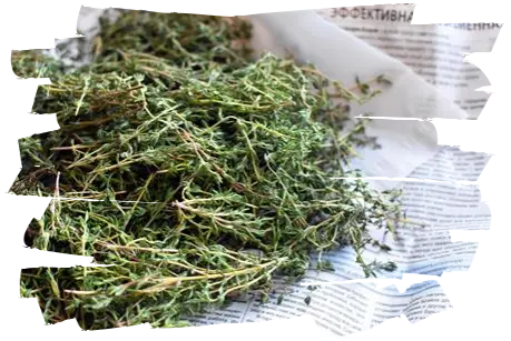 Regional Products of Hatay